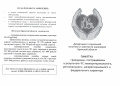 ПАМЯТКА гражданам, пострадавшим в результате ЧС межмуниципального, регионального, межрегионального и федерального характера